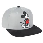 DISNEY - MICKEY MOUSE EMBROIDERY GREY SNAPBACK CAP