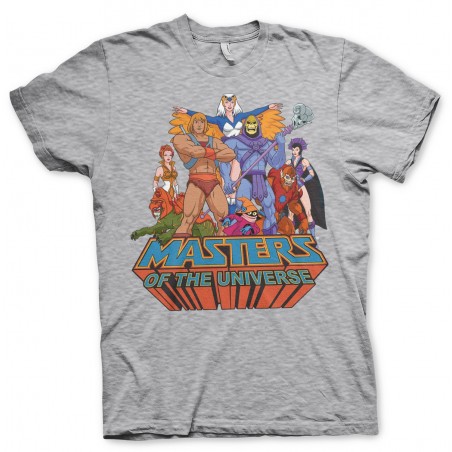 HE-MAN & THE MASTERS OF THE UNIVERSE GROUP DISTRESSED PRINT GREY T-SHIRT