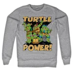 TEENAGE MUTANT NINJA TURTLES TURTLE POWER GREY SWEATSHIRT JUMPER