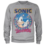 SEGA SONIC THE HEDGEHOG GAME POSE GREY SWEATSHIRT JUMPER