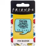 FRIENDS WE WERE ON A BREAK PIN BADGE