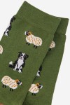 BORDER COLLIE HERDING RAMS/ SHEEP GREEN ADULT PAIR OF NOVELTY SOCKS