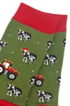 CHRISTMAS LIGHT RED TRACTOR WITH SANTA HAT COWS GREEN ADULT PAIR OF NOVELTY SOCKS