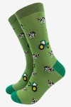 TRACTOR WITH COWS GREEN ADULT PAIR OF NOVELTY SOCKS