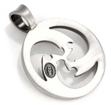 BICO AUSTRALIA STORMRIDER PENDANT