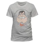 OFFICIAL AMERICAN DAD STAN SMITH FACE GREY T-SHIRT