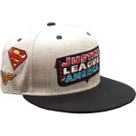 OFFICIAL JUSTICE LEAGUE - BATMAN, SUPERMAN, WONDER WOMAN, THE FLASH, CYBORG & AQUAMAN SYMBOL GREY SNAPBACK CAP