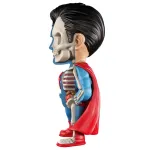 XXRAY x DC COMICS (THE GOLDEN AGE) -  SUPERMAN DISSECTED VINYL ART FIGURE (10cm)