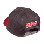 OFFICIAL MARVEL COMICS - PYM LOGO SNAPBACK CAP